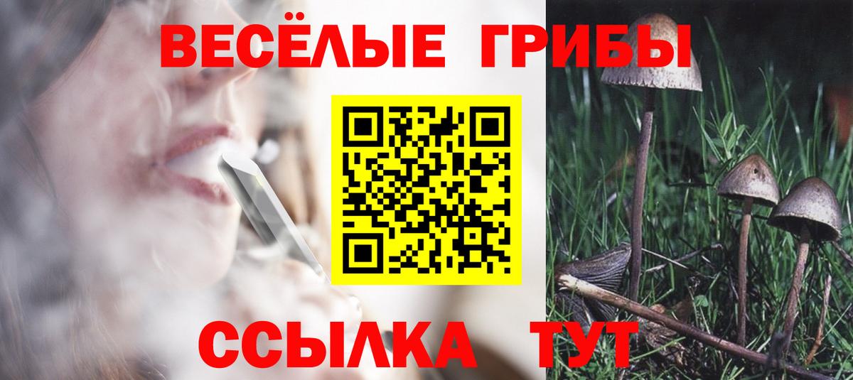 Псилоцибиновые грибы Psilocybine cubensis  Галлюциногенные грибы мухоморы  Вход с VPN  Пугачёв 